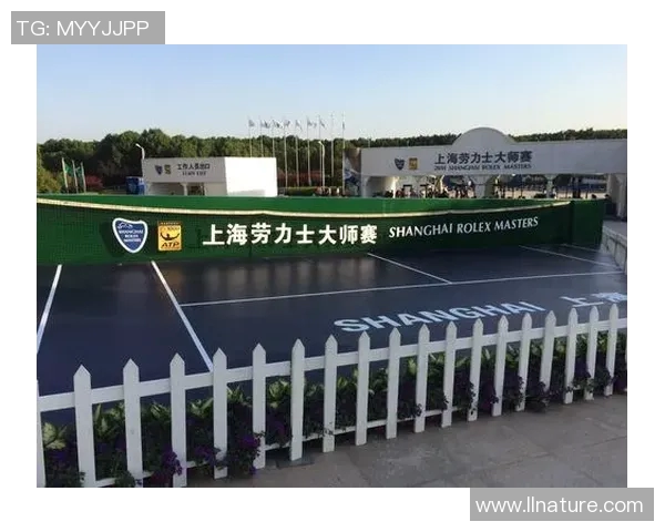 上海排球队在大师赛中的状态分析与表现评估 上海排球队在大师赛中的状态分析与表现评估