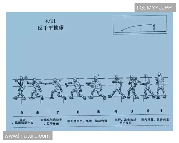 上海羽毛球队整体压制战术解析与实战应用探讨