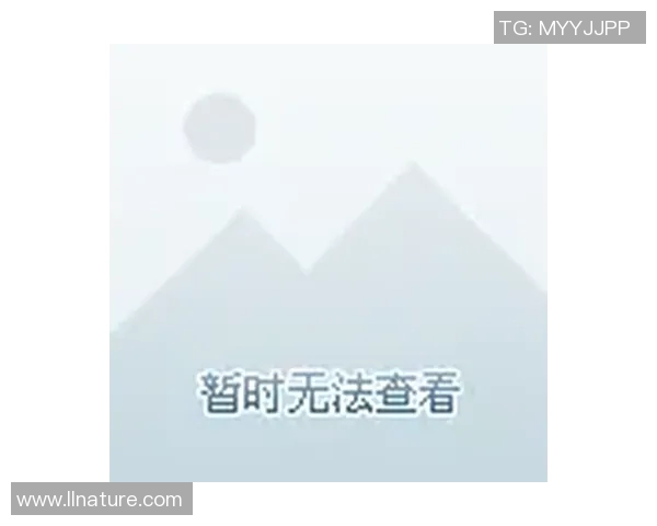 体验一流足球明星游戏的激情与挑战,尽享足球盛宴的乐趣与精彩 体验一流足球明星游戏的激情与挑战,尽享足球盛宴的乐趣与精彩