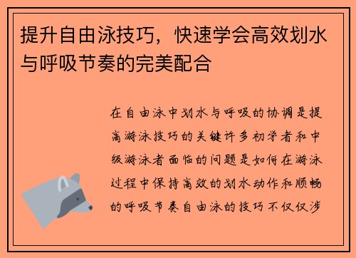 提升自由泳技巧，快速学会高效划水与呼吸节奏的完美配合
